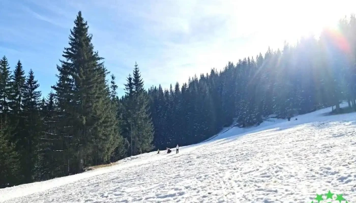 Pârtia de Ski Băișoara - Staţiunea Muntele Băişorii