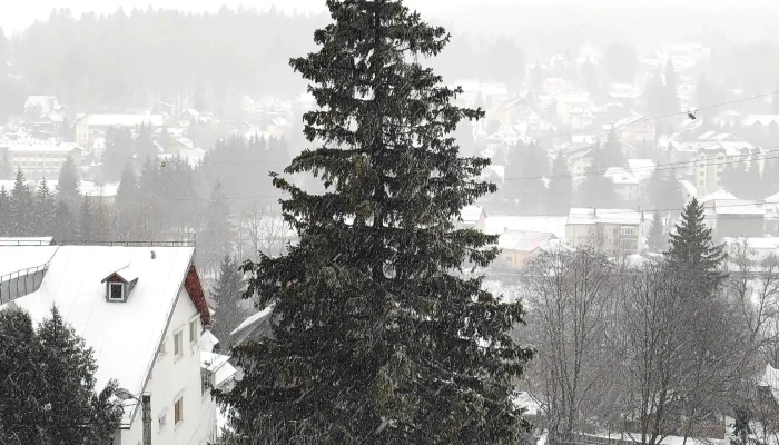 Partia De Ski Clabucet Unde - Predeal