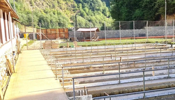 Pastravaria Cormaia Restaurant Sala Evenimente Cum Să Ajungi Acolo - Cormaia