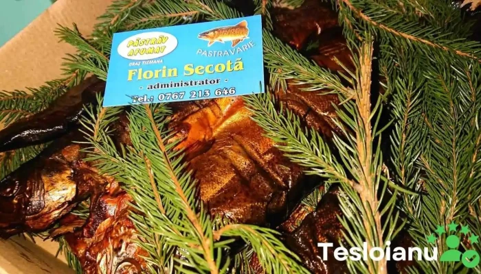 Pastravaria Tismana- Secota - Tismana
