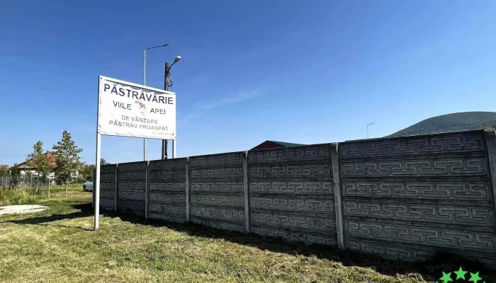 Pastravaria Viile Apei -  De La Proprietar - Seini