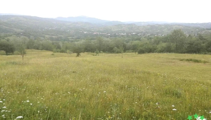 Paulesti Zonă - Păulești