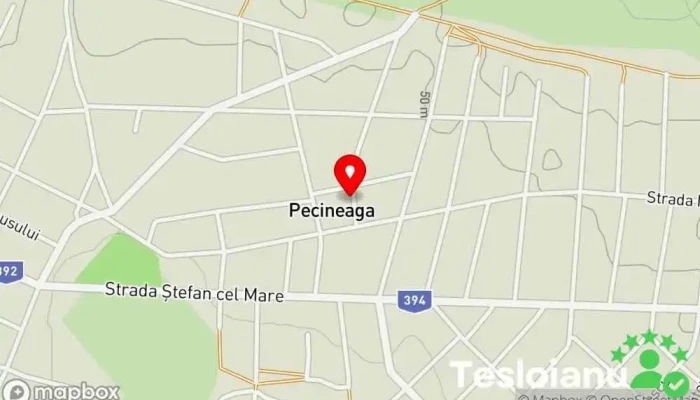 hartă a Pecineaga  în Pecineaga