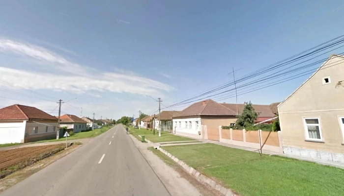 Peciu Nou -  Street View Si 360deg - Peciu Nou