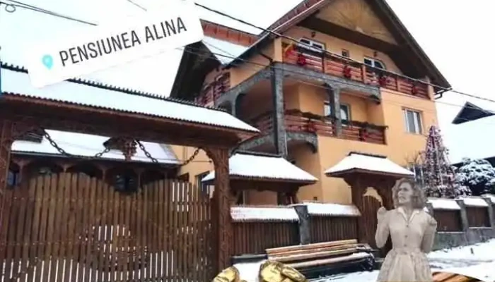 Pensiunea Alina -  De La Proprietar - Poienile Izei