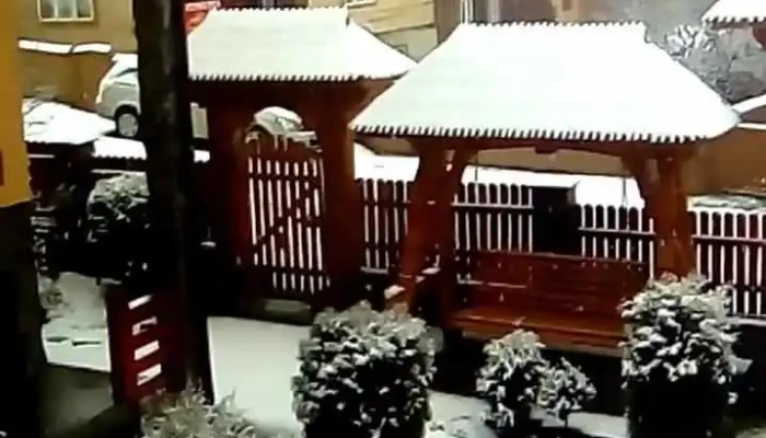Pensiunea Alina -  Exterior - Poienile Izei