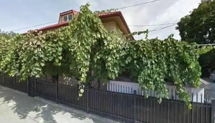 Pensiunea Alutus -  Street View Si 360deg - Eforie Nord