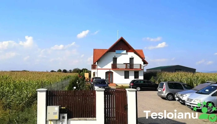 Pensiunea Ana Odoreu -  De La Vizitatori - Odoreu