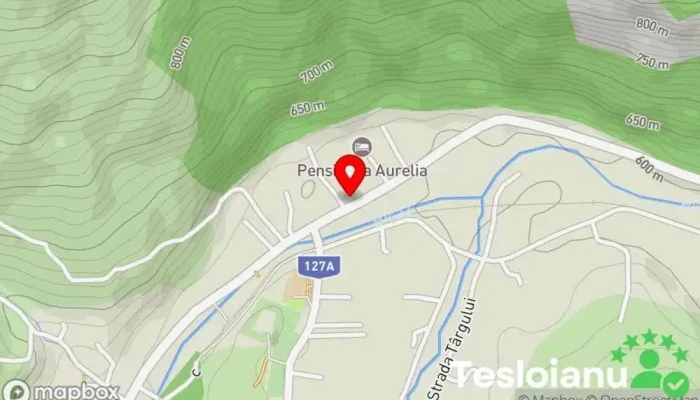 hartă a Pensiunea Bicaz Chei - Cazare si Restaurant in Bicaz Chei Pensiune în Bicaz-Chei