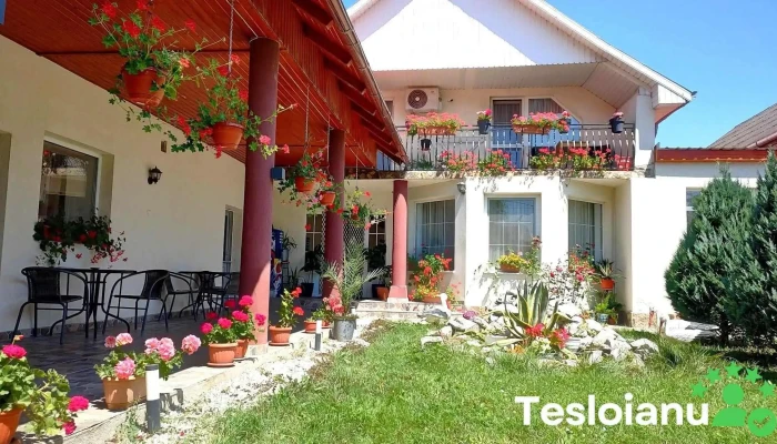 Pensiunea Denisa Rares Exterior - Tășnad