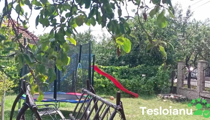 Pensiunea Denisa Rares Videoclipuri - Tășnad