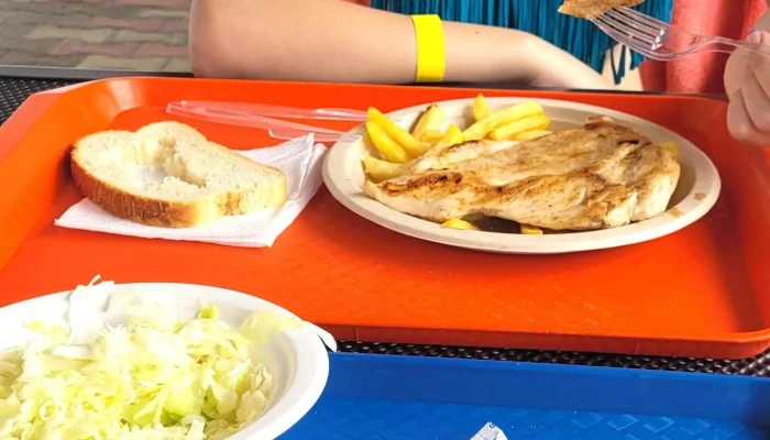 Pensiunea Holiday -  Zonă - Ocna Șugatag
