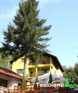 Pensiunea Iulia -  Cabana - Șimleu Silvaniei