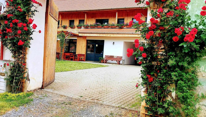 Pensiunea Keisd -  Promoție - Saschiz