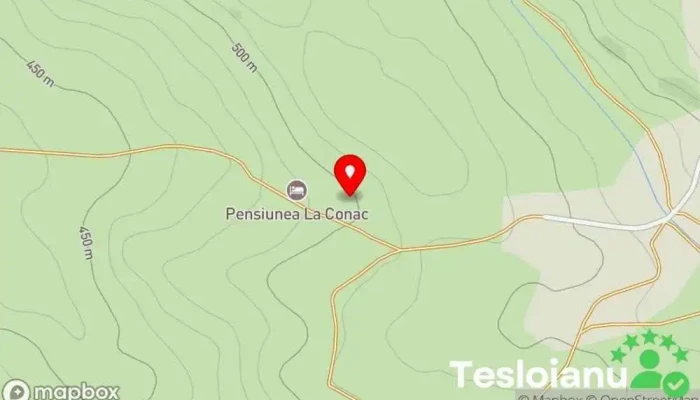 hartă a Pensiunea La Conac Bed & Breakfast, Hotel în Săliştea Veche