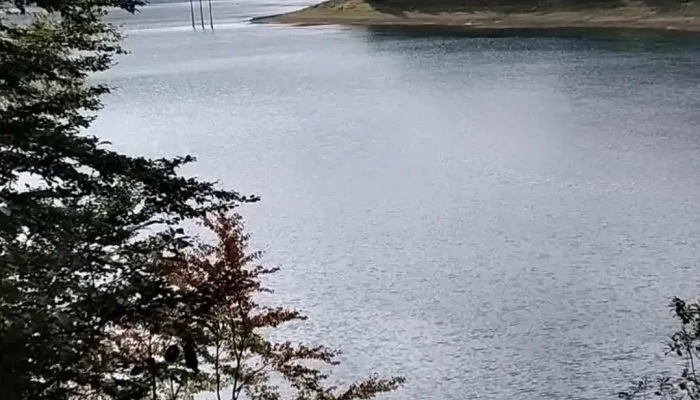 Pensiunea Lac -  De La Vizitatori - Curtea De Argeș