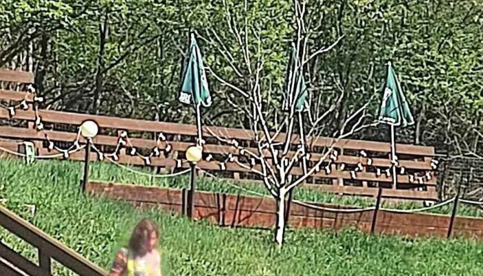 Pensiunea Lacul Stiucii -  Cele Mai Recente - Săcălaia