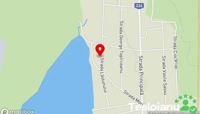 hartă a Pensiunea Lotus Corbu Cazare în regim hotelier în Corbu