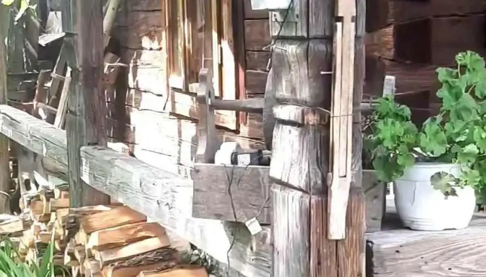 Pensiunea Maramu -  Exterior - Breb