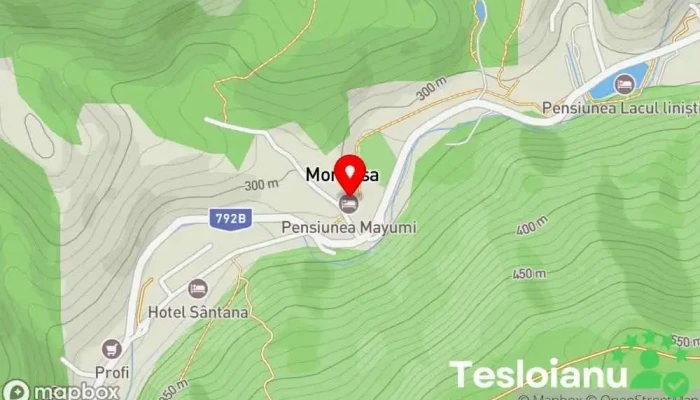 hartă a Pensiunea Mayumi Hotel în Moneasa