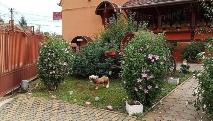 Pensiunea Polyana Bazna -  De La Vizitatori - Bazna