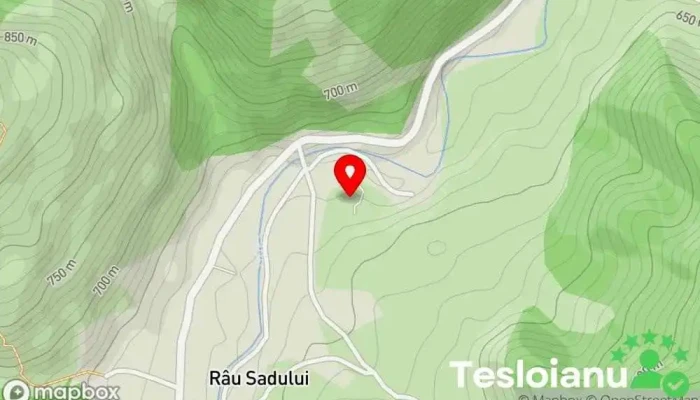 hartă a Pensiunea Rau Sadului Restaurant Pensiune în Râu Sadului