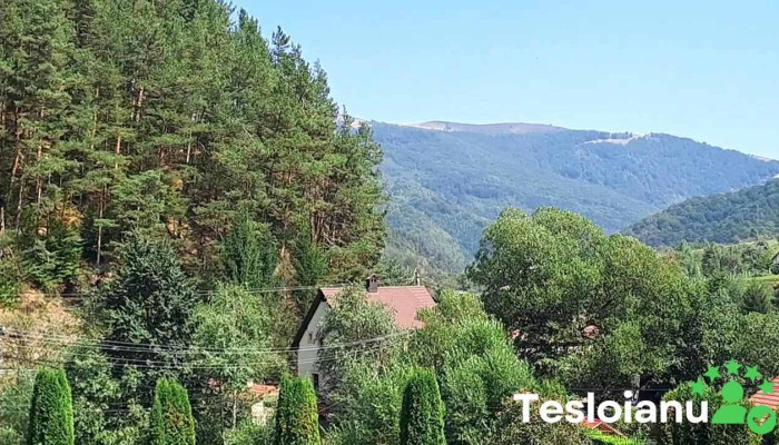 Pensiunea Rau Sadului Restaurant -  Videoclipuri - Râu Sadului