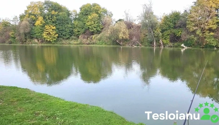 Pescaria Radesti Videoclipuri - Cod Poștal