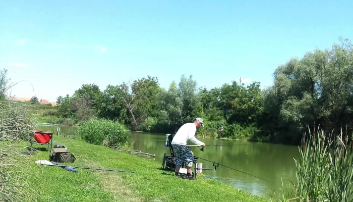 Pescaria Radesti Zonă - Cod Poștal