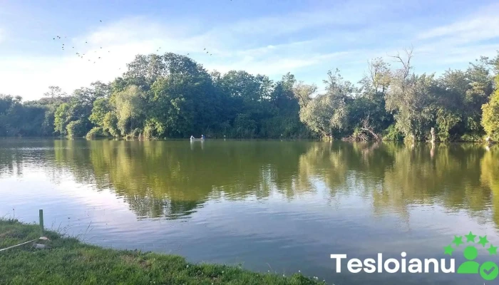 Pescăria Rădești - Cod Poștal