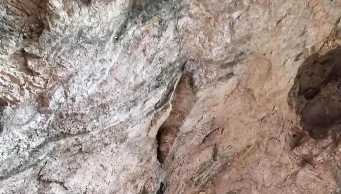 Pestera Comana Cum Să Ajungi Acolo - Romania