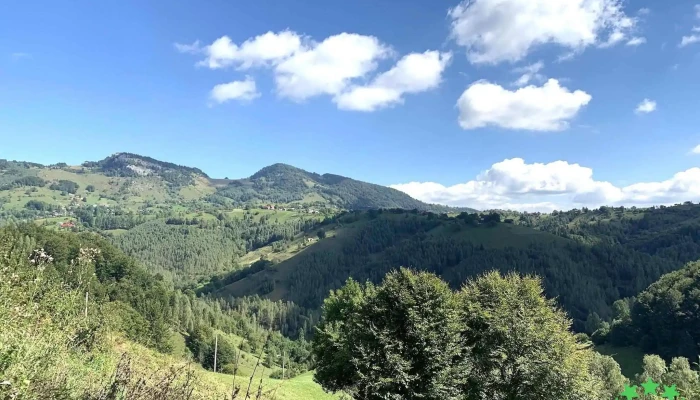 Pestera Liliecilor Munte - Comuna Moieciu