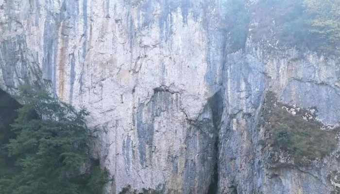 Pestera Unguru Mare Aproape De Mine - Șuncuiuș