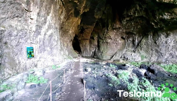 Pestera Unguru Mare Videoclipuri - Șuncuiuș