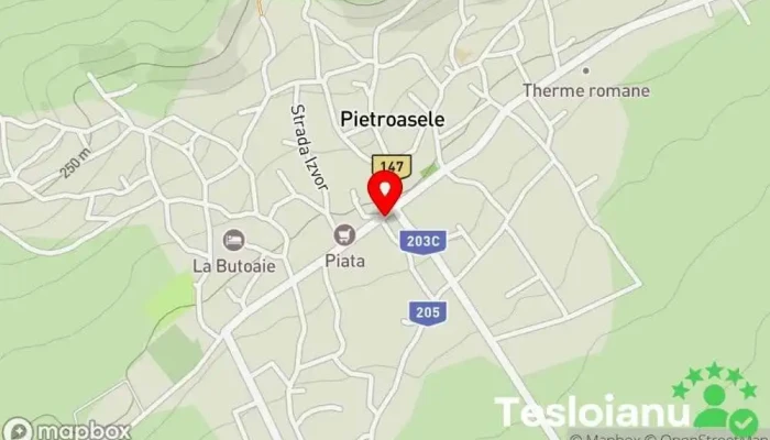 hartă a PETCU S.N.C. Angrosist de materiale de construcții în Com. Pietroasele, Buzau, 127470