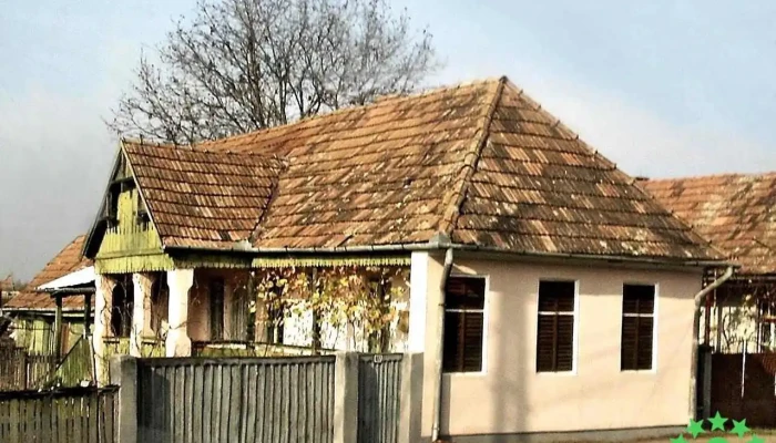 Petelea -  Adresă - Petelea
