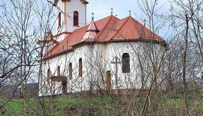 Petris Aproape De Mine - Petriș