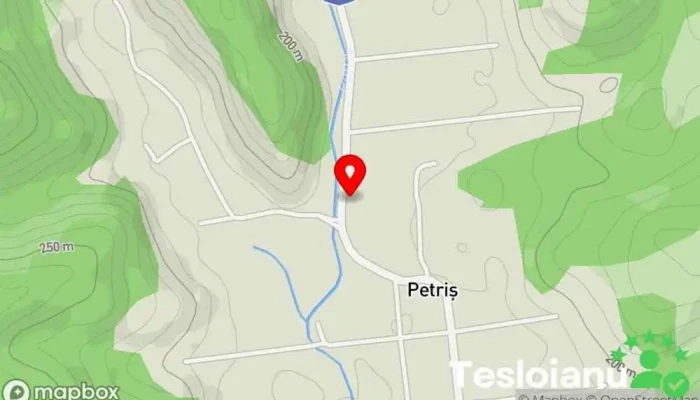 hartă a Petriș  în Petriș