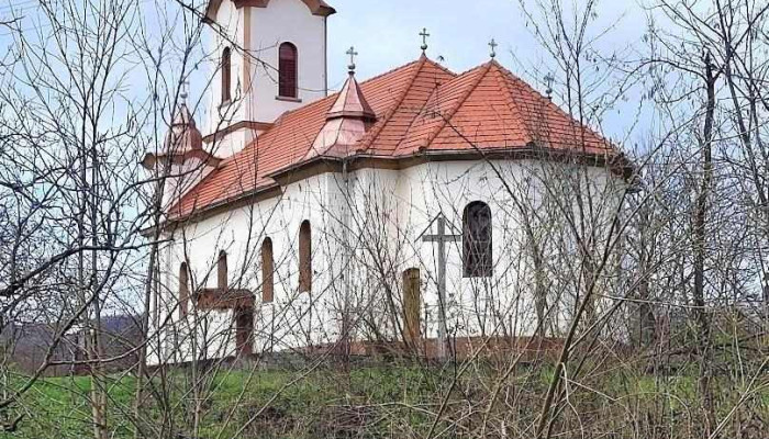 Petriș - Petriș
