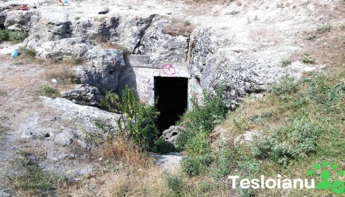 Peștera Limanu - Dj391B