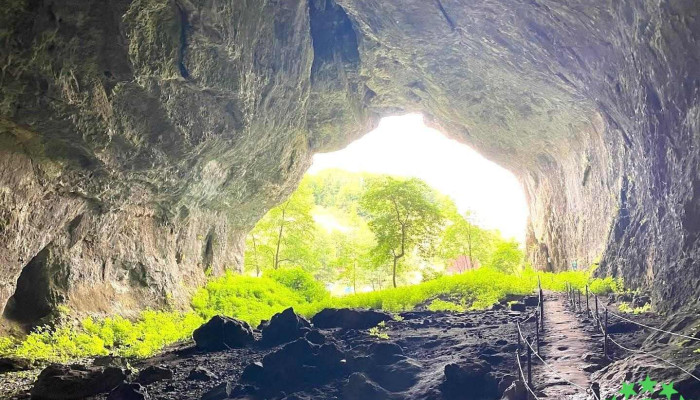 Peștera Unguru Mare - Șuncuiuș