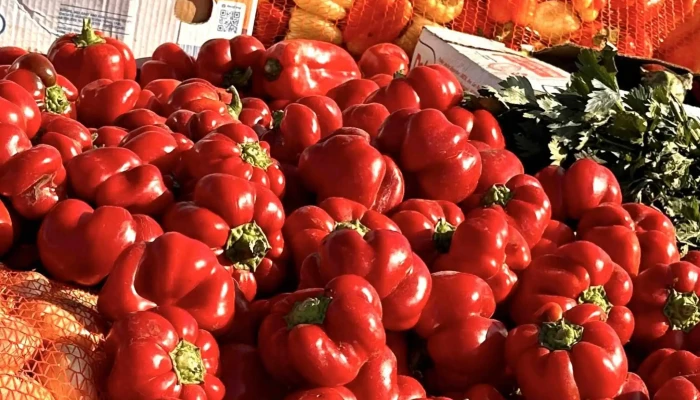 Piata Agricola Pucheni Puchenii Mari - Puchenii Mari