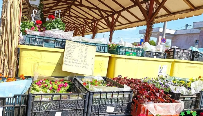 Piata Agroalimentara Branesti Interior - Brănești