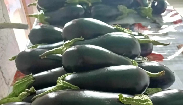 Piata De Legume Matca Fotografii - Matca