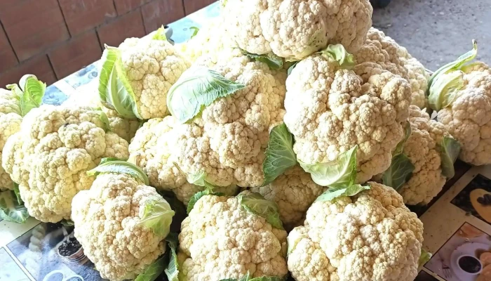 Piata De Legume Matca Număr - Matca