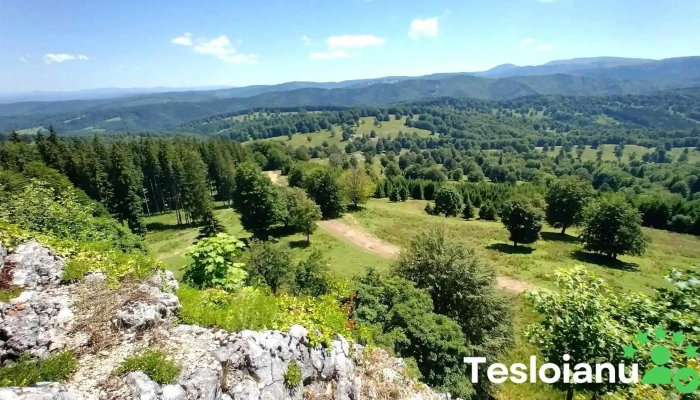 Piatra Laptelui -    Piatra De Var Munte - Vama Buzăului