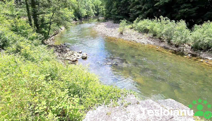 Piatra Lata Munte - Vadu Crișului
