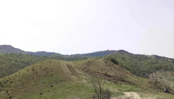 Piatra Matei Program - Romania