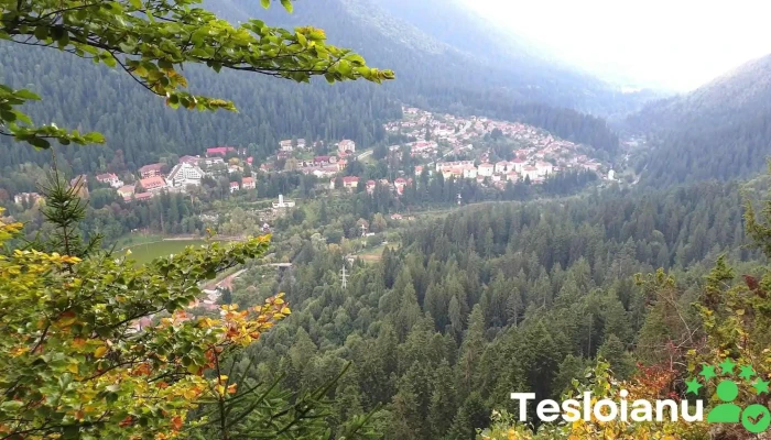 Piatra Soimilor Munte - Romania