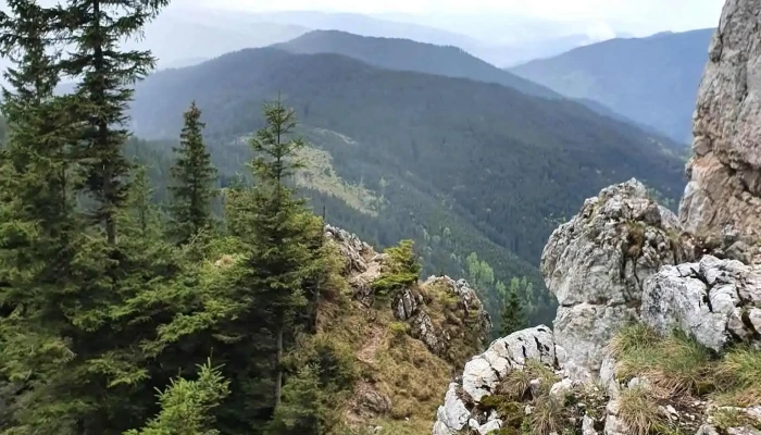 Piatra Soimului Reduceri - Piatra Șoimului